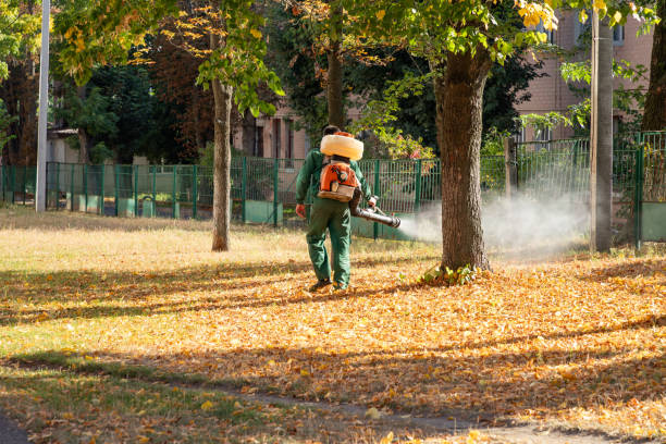 Best Wasp Removal Services  in Arcadia, WI