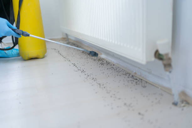 Best Pest Prevention Services  in Arcadia, WI
